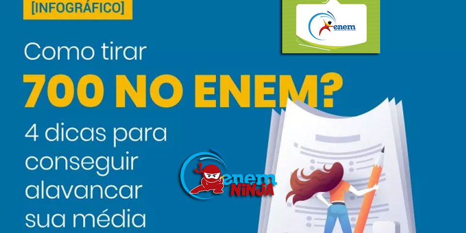 Enem Ninja