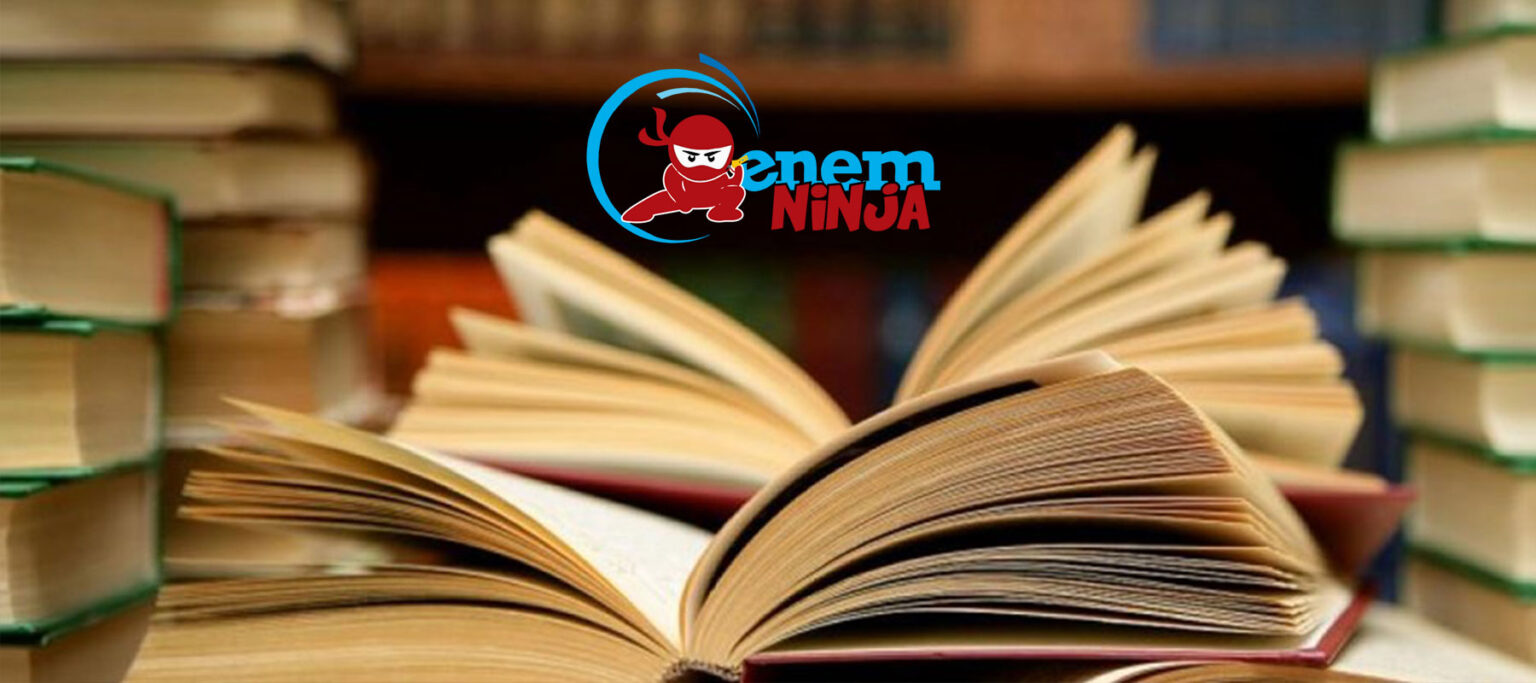 Enem Ninja